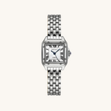 Monaco Watch